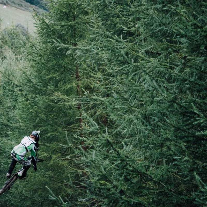 Cubilia feugiat accumsan nascetur natoque donec aliquet blandit